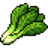 Spinach-icon
