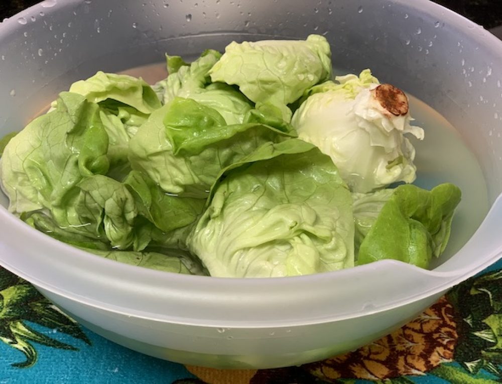 Why does Boxed Wine have an Expiration Date while Bottled Wine does Not?