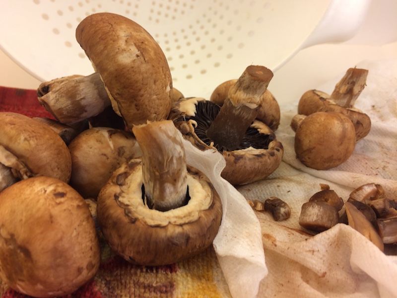 wash mushrooms