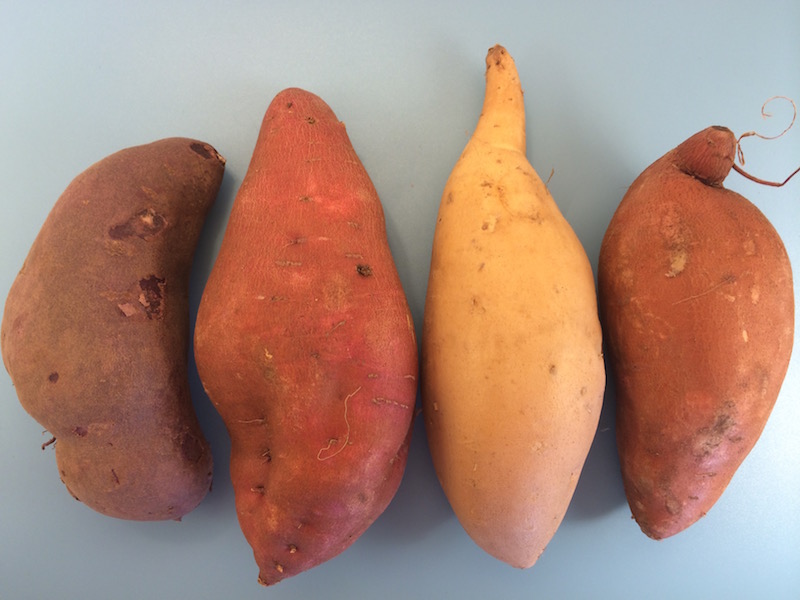 sweet potato vs yam